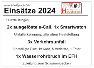 Einsätze 2024 der Freiwilligen Feuerwehr Heiligendorf